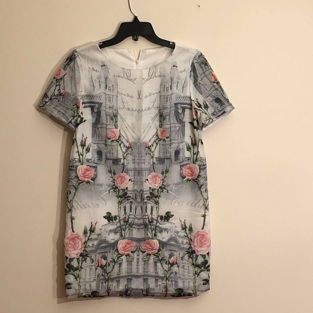 Mini dress sz small rose dress